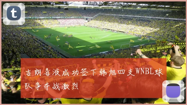吉朗毒液成功签下韩旭四支WNBL球队争夺战激烈