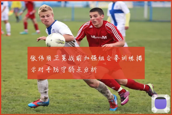 张伟丽卫冕战前加强组合拳训练揭示对手防守弱点分析