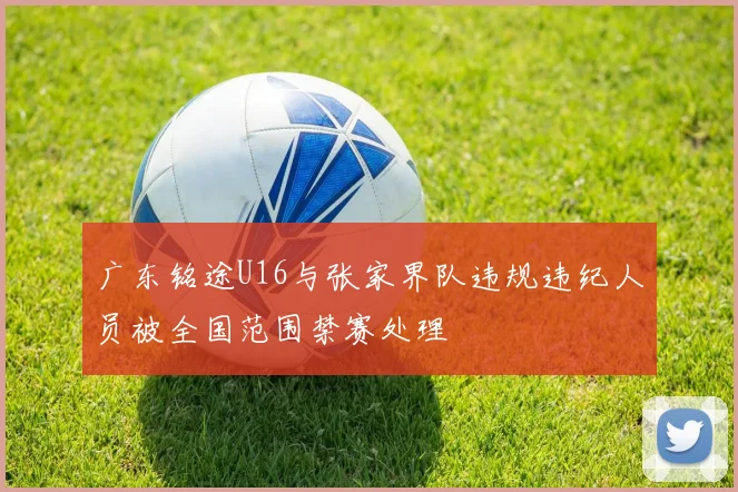 广东铭途U16与张家界队违规违纪人员被全国范围禁赛处理